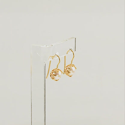 Όμορφα ασημένια σκουλαρίκια